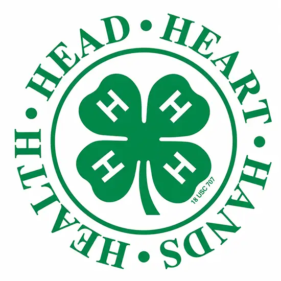 4-H