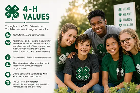 Values