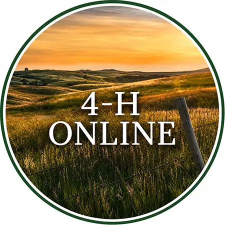 4-H Online